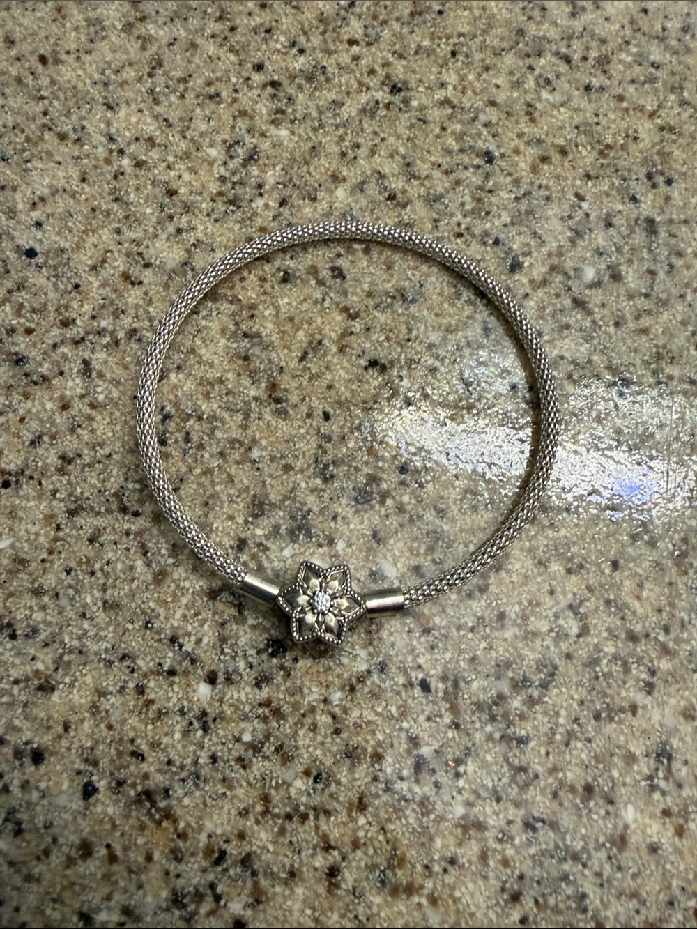 Pandora Silver Floral Mesh Bracelet with Flower Clasp